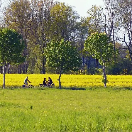 Mueritzurlaub An Der Kastanie In * Sembzin